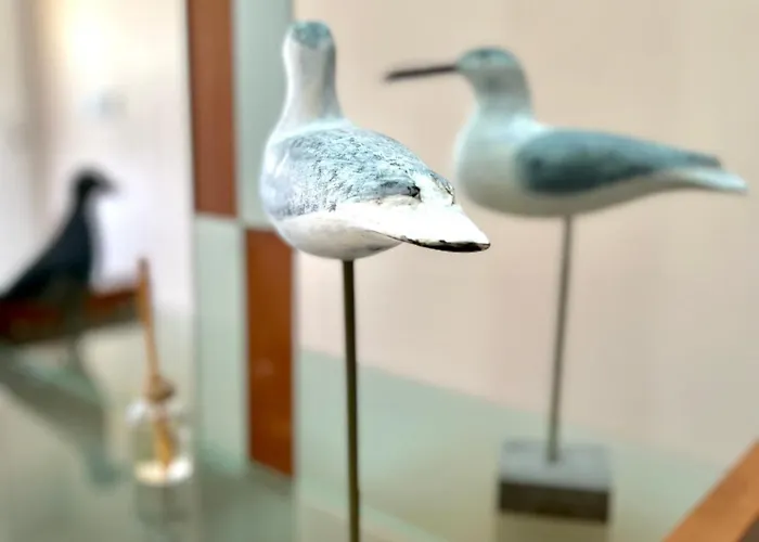 דירה Casa Cabo Avelar T4 - פניש